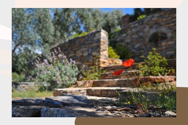 Rinnovare esterno casa